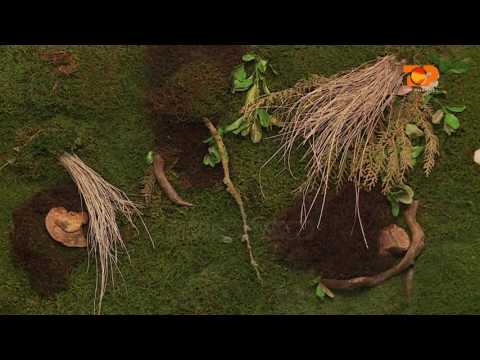 Ne Shtepine Tone, 12 Qershor 2017, Pjesa 3 - Top Channel Albania - Entertainment Show