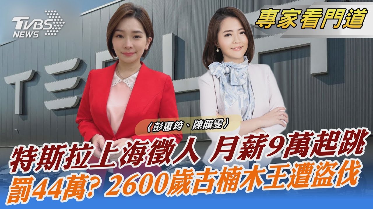 特斯拉上海招募新人才 月薪9萬起跳