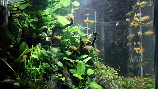 43 Gallon 9 Month Service and Equipment Update