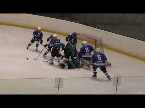 10.6.2019 ZS Hvězda Praha  HC Slovan Louny - Tacoma Rockets Seattle (USA) 10:9 (1:1 4:7 5:1) I.tř.