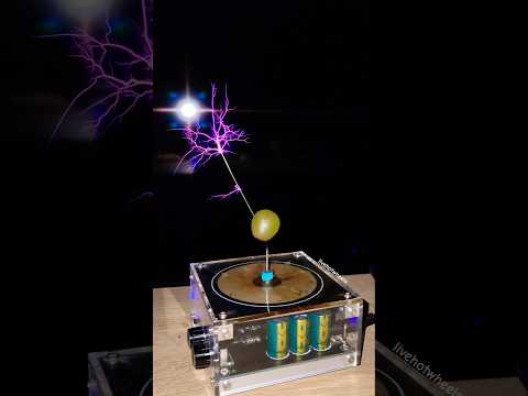 🍇 Tesla coil project #experiment #grape #fruit