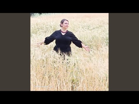 PAZARDA BAL VAR GELİNİM