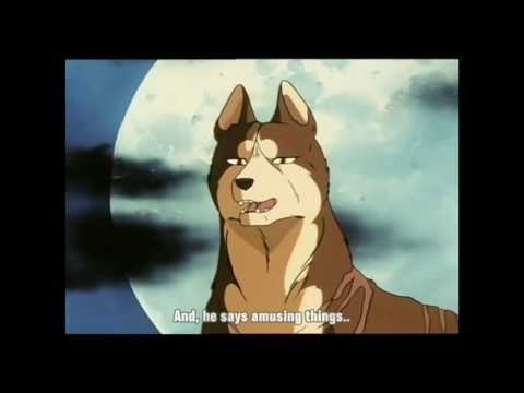 The Akita King Part 4 - The Morning Report