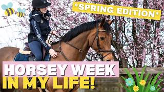 HORSEY WEEK IN MY LIFE | Riding, Vet Physio Student, Shows & More! 🐴📚