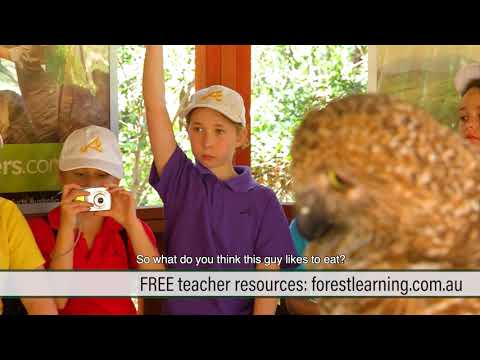 ForestLearning: Teaching for a Sustainable Industry