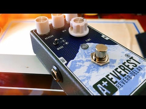 Shift Line A+ Everest M Reverb Delay image 8