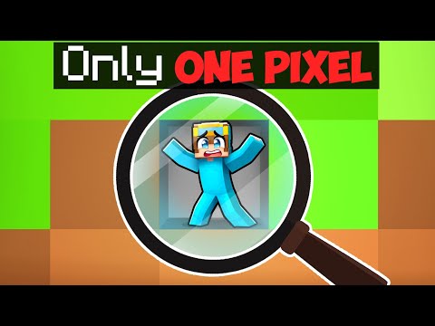 Trapped in ONE PIXEL in Minecraft!