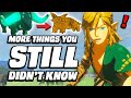 33 MORE Things You STILL Didn't Know In Zelda Tears Of The Kingdom