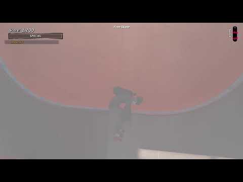Tony hawk skating