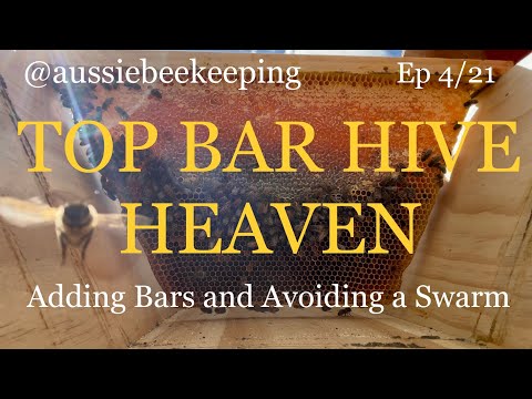 Aussie Bee Keeping - Adding Bars to a Top Bar Hive and Avoiding a swarm!
