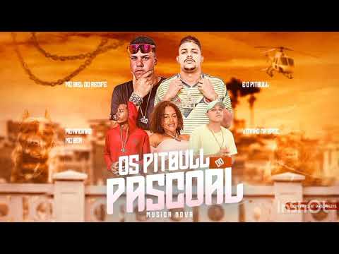 Eo Pitbull mc biel do recife mc andinho mc bea vitinho na base OS PITBULL DO PASCOAL