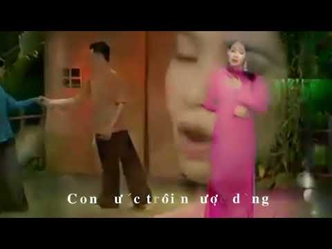 Lý phụ tình - Trang Anh Thơ