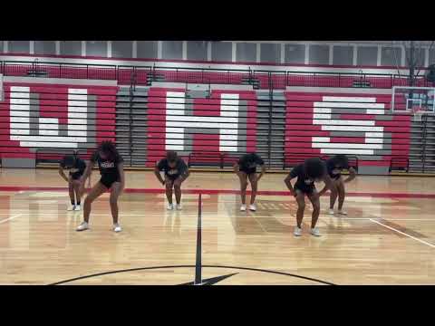 Westwood Cheer - Meg Thee Stallion Dance! 🎀