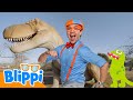ROAR Let S Dance With The Dinosaurs Blippi Let S Get Moving Kids Activities