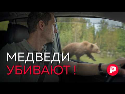 Репортаж из Сибири, где медведи массово нападают на людей