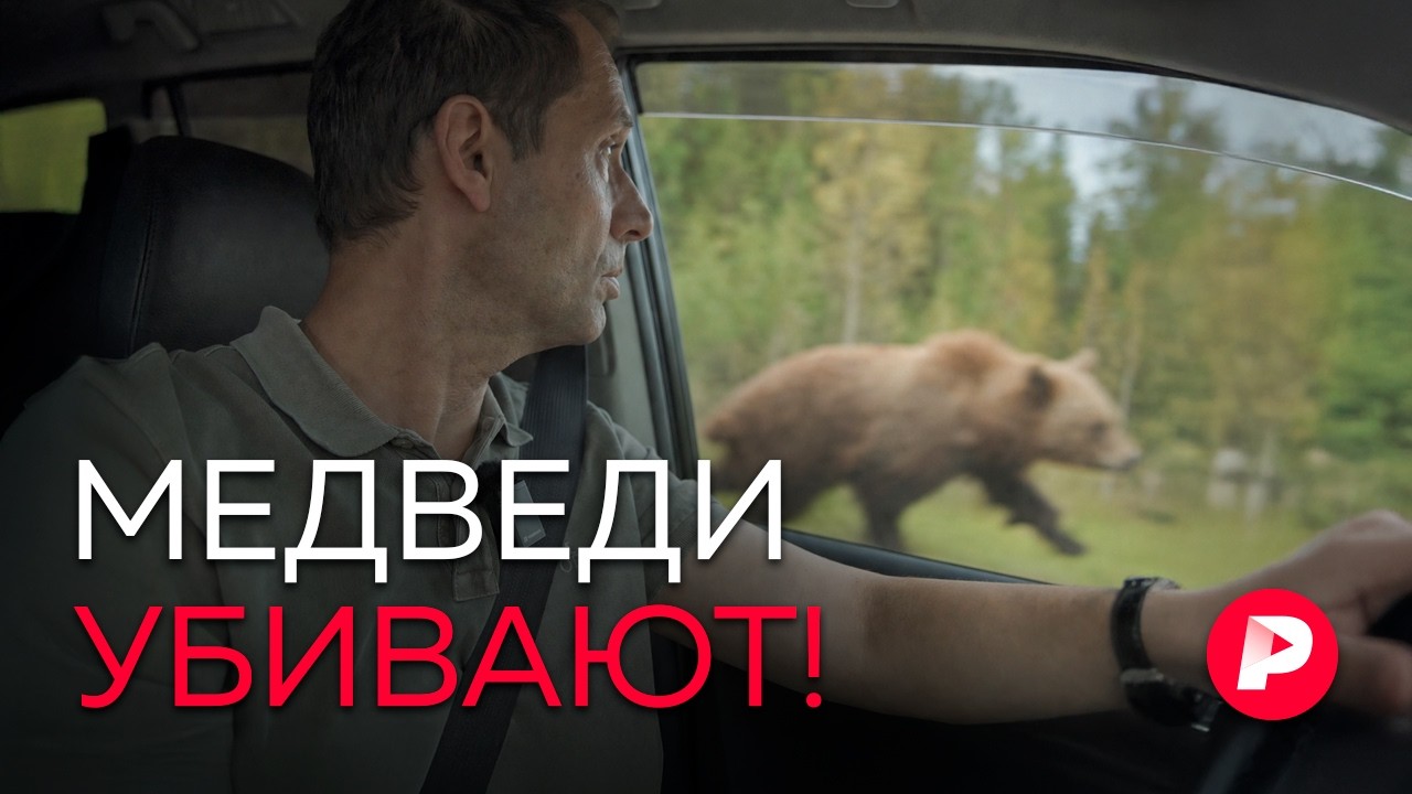 Репортаж из Сибири, где медведи массово нападают на людей