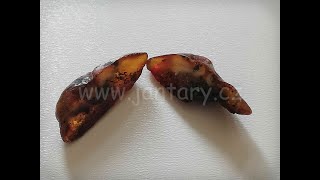 Okno do baltského jantaru PO-51