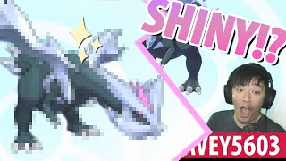Pokemon: Sword | Reaction - Shiny Kyurem!