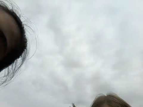 Find the flower challenge with bestias!