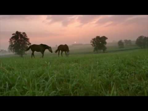 Estância Liberdade site