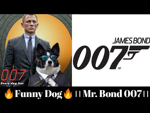 ।।😆Funny Dog😆।। Mr. Bond.. ।। Dog Mr 007 ।। #shorts