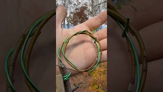 The Way of the Willow, Clones of Clones: Update on Wilhelm II, Clovis and a Clone of The Fallen King