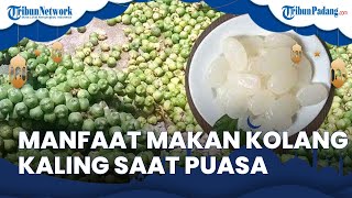 Manfaat Konsumsi Kolang-kaling saat Puasa Ramadan, Dari Mencegah Sembelit hingga untuk Diet