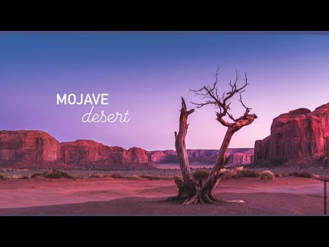 Calming 15 Minute Sound Therapy Session for Mindfulness Meditation or Relaxation - Mojave Desert