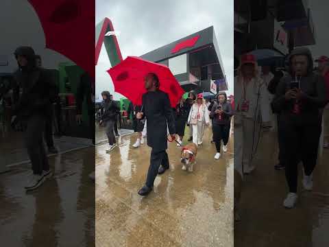 The Main Character's Race Day Arrival 🦮