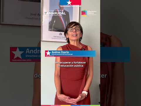 Cuenta Pública Participativa SLEP Tamarugal
