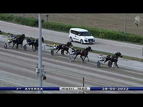 Aversa trotto 28 Maggio 2022 - 7° Corsa