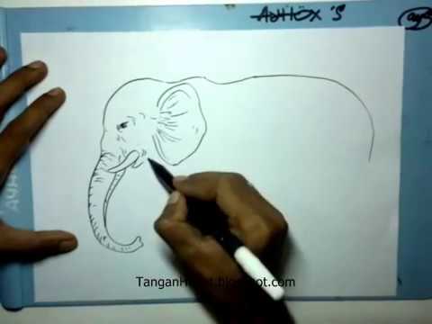 video belajar menggambar gajah
