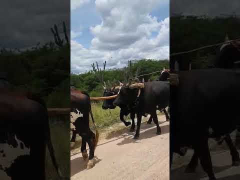 Bahia minha terra 🌎 Natal.Tempos bom. #fe