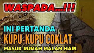 Download lagu WASPADA DENGAN INI !! PERTANDA KUPU KUPU COKLAT MASUK RUMAH MALAM HARI, TANDA BAIK & TANDA BURUK mp3 Download lagu WASPADA DENGAN INI !! PERTANDA KUPU KUPU COKLAT MASUK RUMAH MALAM HARI, TANDA BAIK & TANDA BURUK mp3