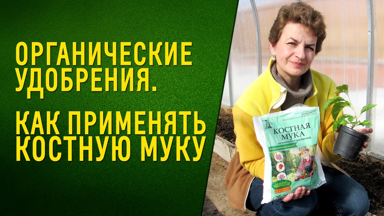Подкормка костной мукой – универсальное удобрение для всех культур на даче