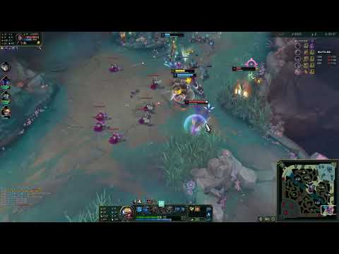 이거 블츠때문에 진건가요?