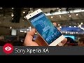 Mobilní telefon Sony Xperia XA Dual SIM