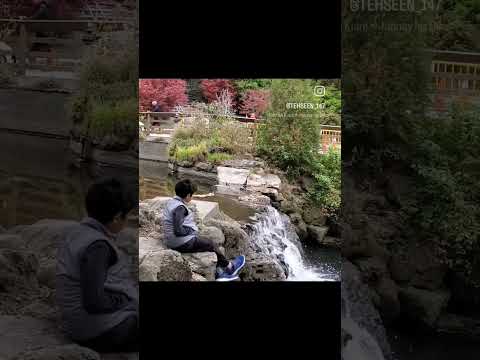 Surrounded by Nature