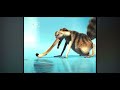 Ice Age The Meltdown 2006 Full Screen Scrat S Got Stuck In The Water PAL High Tone Flipped