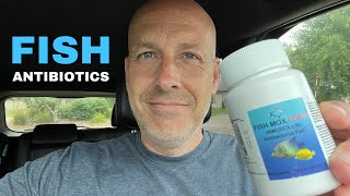 Fish Antibiotics For Emergencies - Why I Have Them - Fish Mox Forte