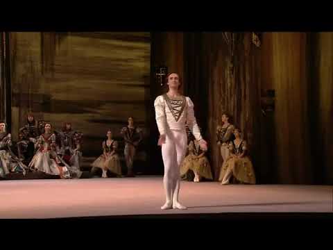 Ruslan Skvortsov - Siegfried  Variation  Act1