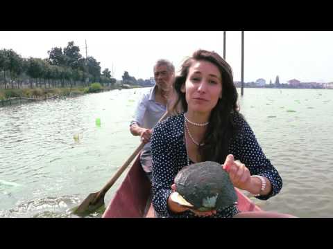 Sustainable Pearl Jewelry