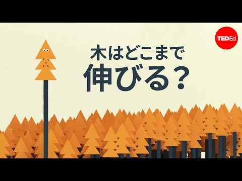 「人間サイズのネズミ」:研究者らが気候変動の予期せぬ影響を予測