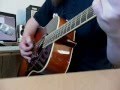Fugazi - The Argument acoustic cover 