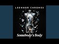 Somebody's Body