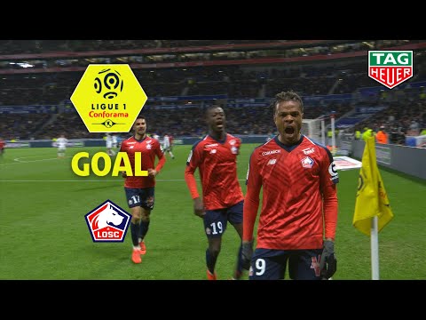 Goal Loïc REMY (50') / Olympique Lyonnais - LOSC (2-2) (OL-LOSC) / 2018-19