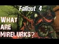 What are Mirelurks?- Fallout 4 Theories and Lore