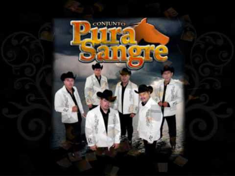 Conjunto Pura Sangre 