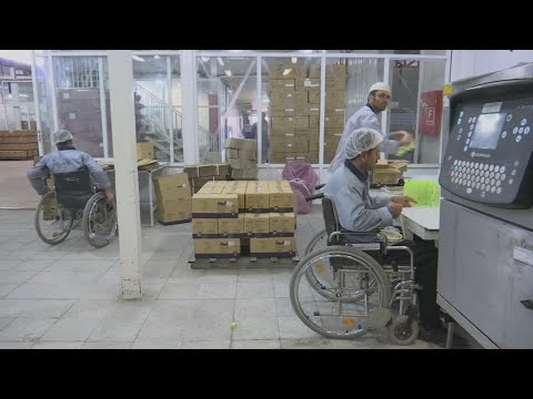 Factory employs hundreds of disabled people ++REPLAY++