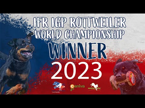 IFR IGP World Championship 2023 // Iliak vom Kinzigtal // Radek Amler